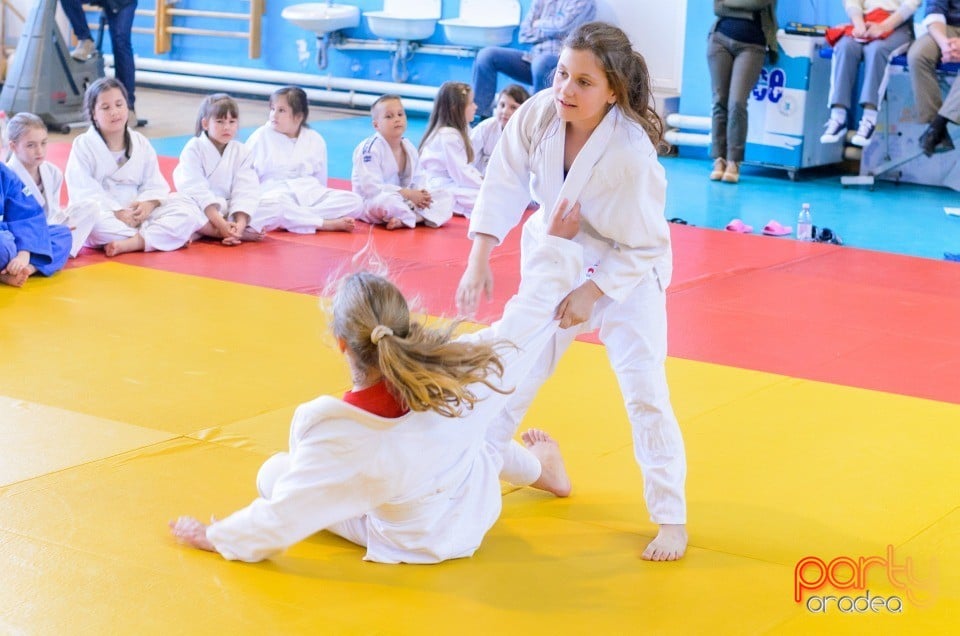 Micii judoka la Examen de Mon, Liceul cu Program Sportiv