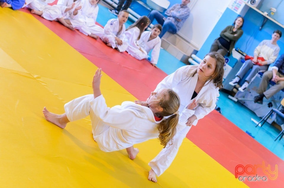 Micii judoka la Examen de Mon, Liceul cu Program Sportiv