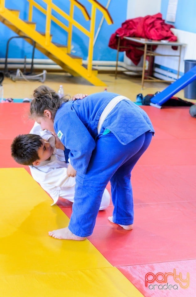 Micii judoka la Examen de Mon, Liceul cu Program Sportiv