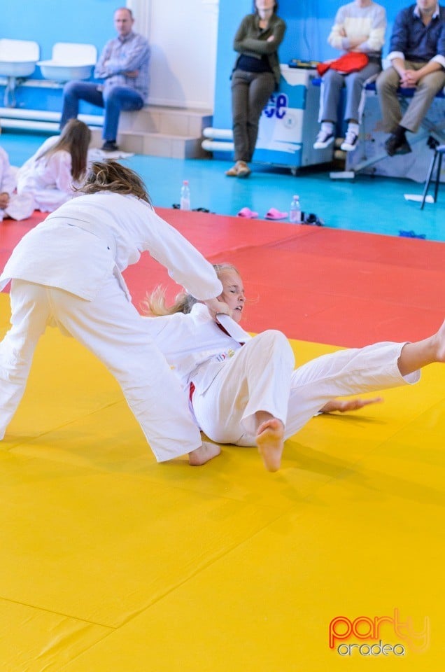 Micii judoka la Examen de Mon, Liceul cu Program Sportiv