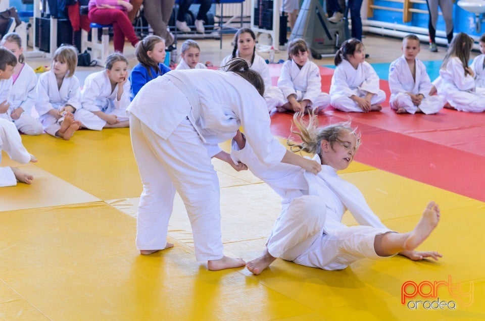 Micii judoka la Examen de Mon, Liceul cu Program Sportiv