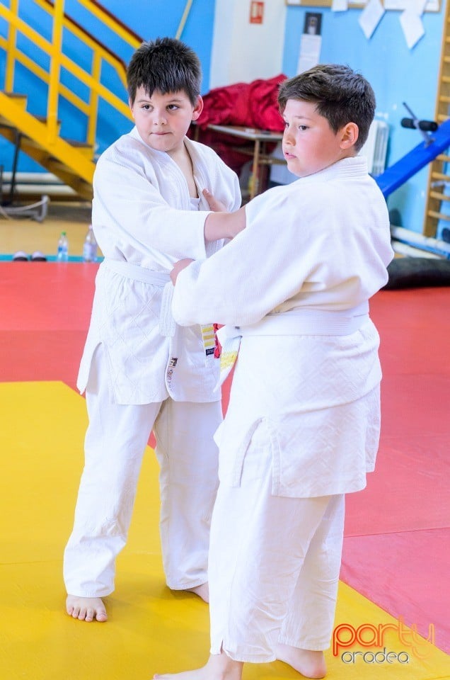 Micii judoka la Examen de Mon, Liceul cu Program Sportiv