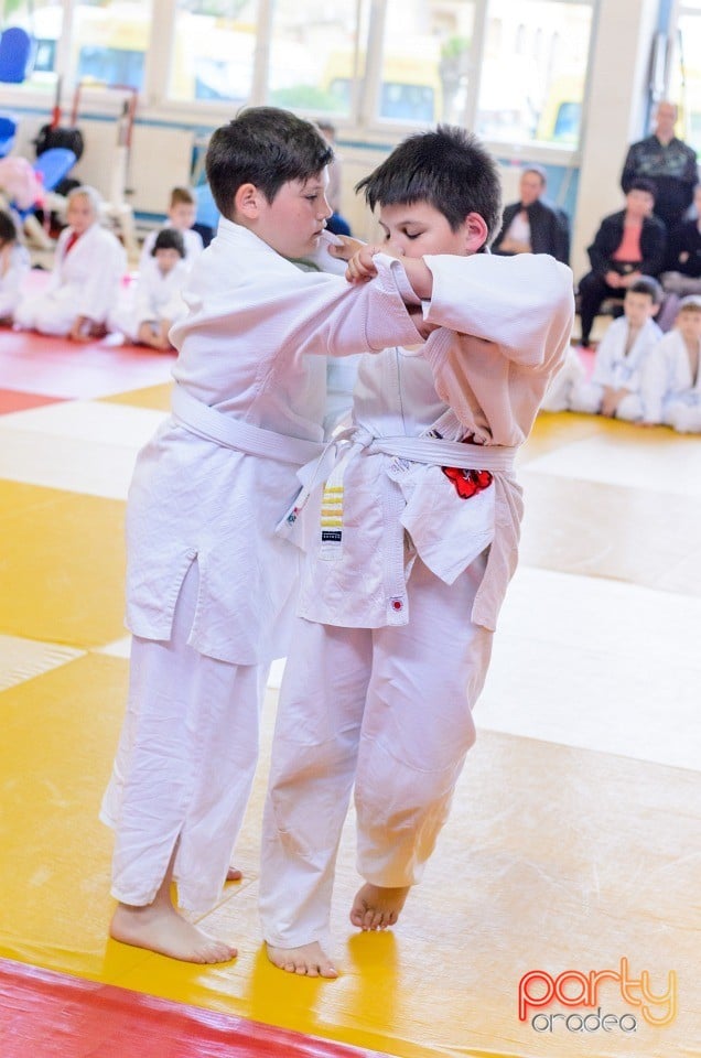 Micii judoka la Examen de Mon, Liceul cu Program Sportiv