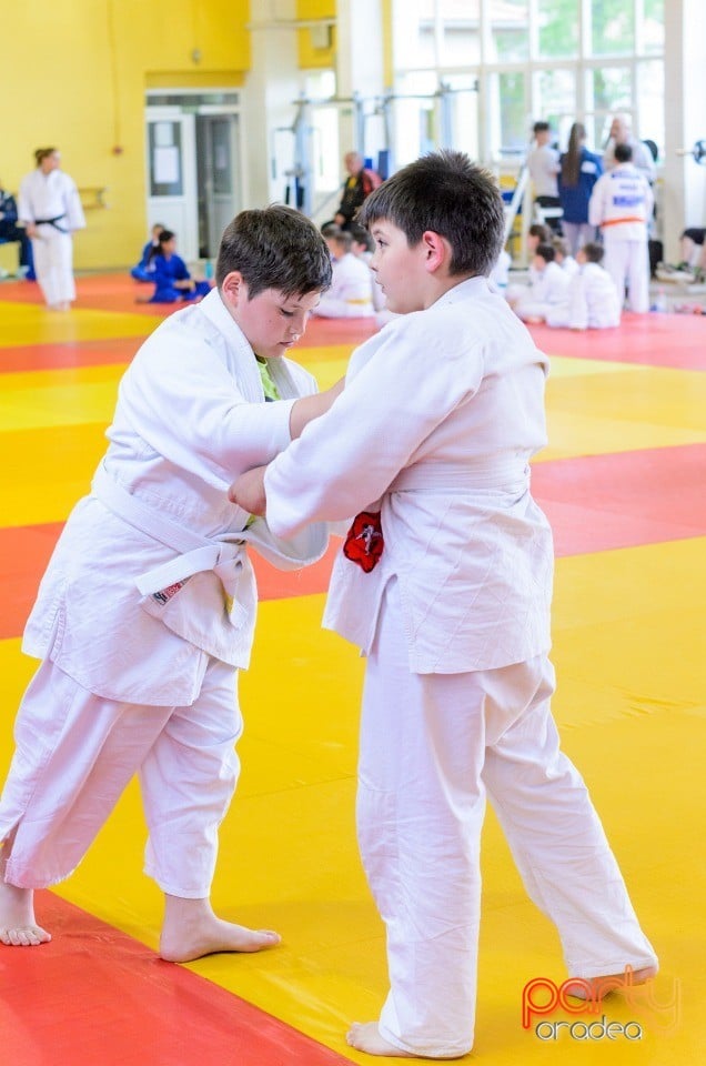 Micii judoka la Examen de Mon, Liceul cu Program Sportiv