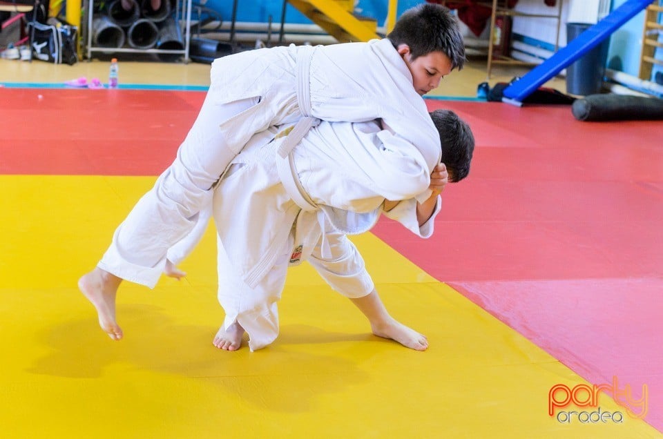 Micii judoka la Examen de Mon, Liceul cu Program Sportiv