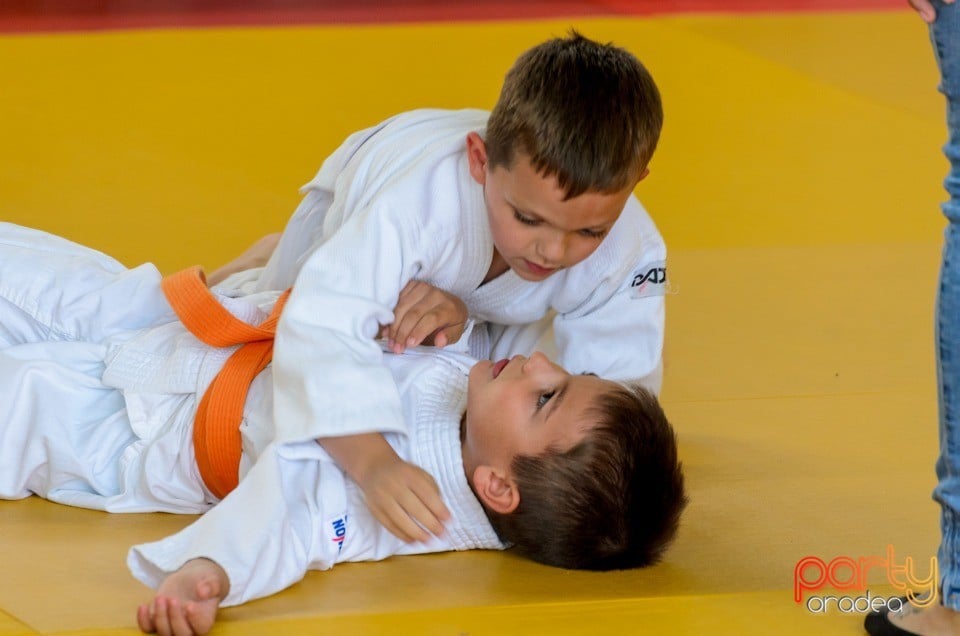 Micii judoka la Examen de Mon, Liceul cu Program Sportiv