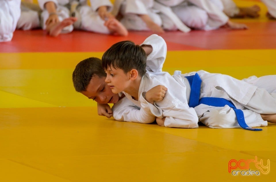 Micii judoka la Examen de Mon, Liceul cu Program Sportiv