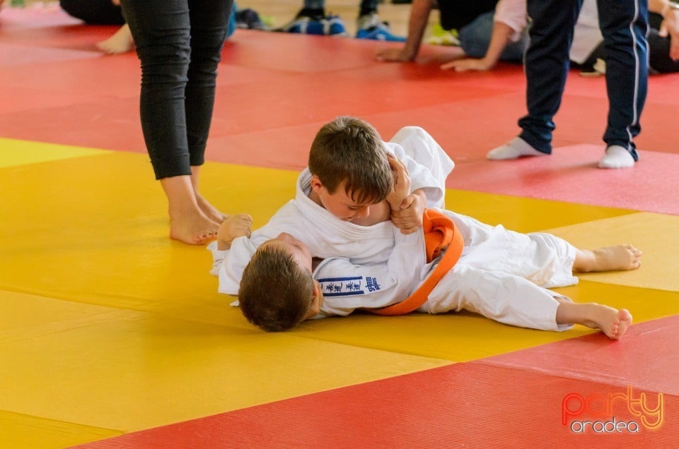 Micii judoka la Examen de Mon, Liceul cu Program Sportiv