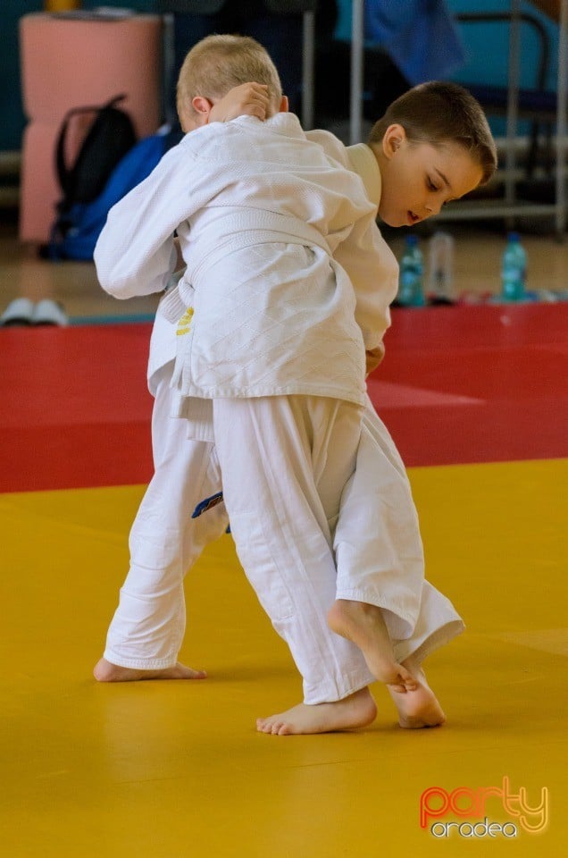 Micii judoka la Examen de Mon, Liceul cu Program Sportiv