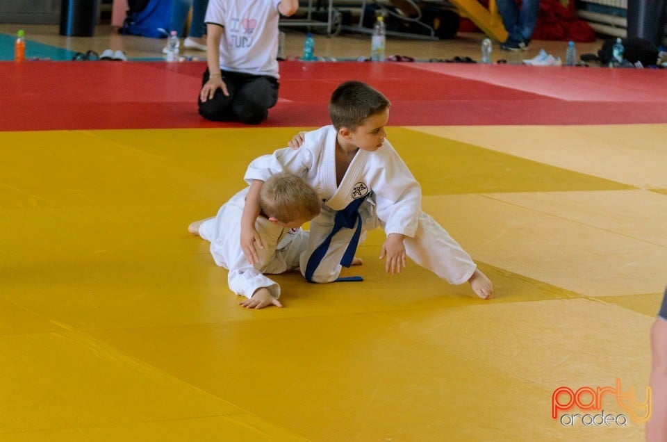 Micii judoka la Examen de Mon, Liceul cu Program Sportiv