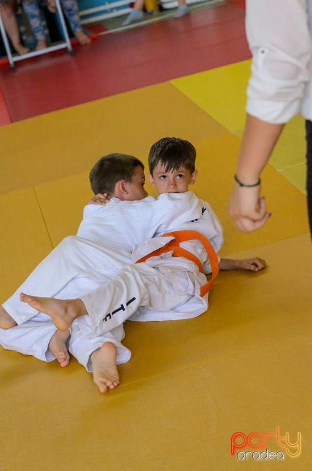 Micii judoka la Examen de Mon, Liceul cu Program Sportiv