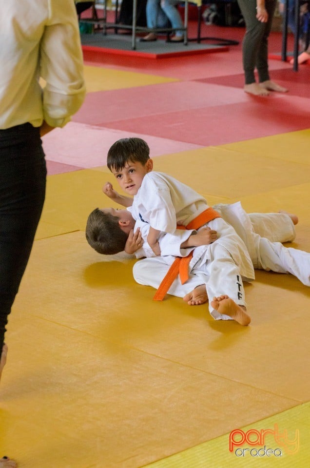 Micii judoka la Examen de Mon, Liceul cu Program Sportiv