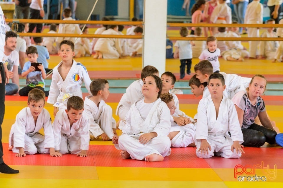 Micii judoka la Examen de Mon, Liceul cu Program Sportiv