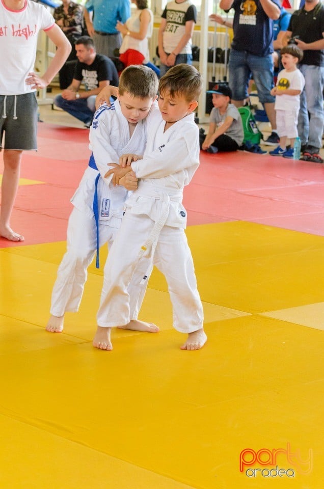 Micii judoka la Examen de Mon, Liceul cu Program Sportiv