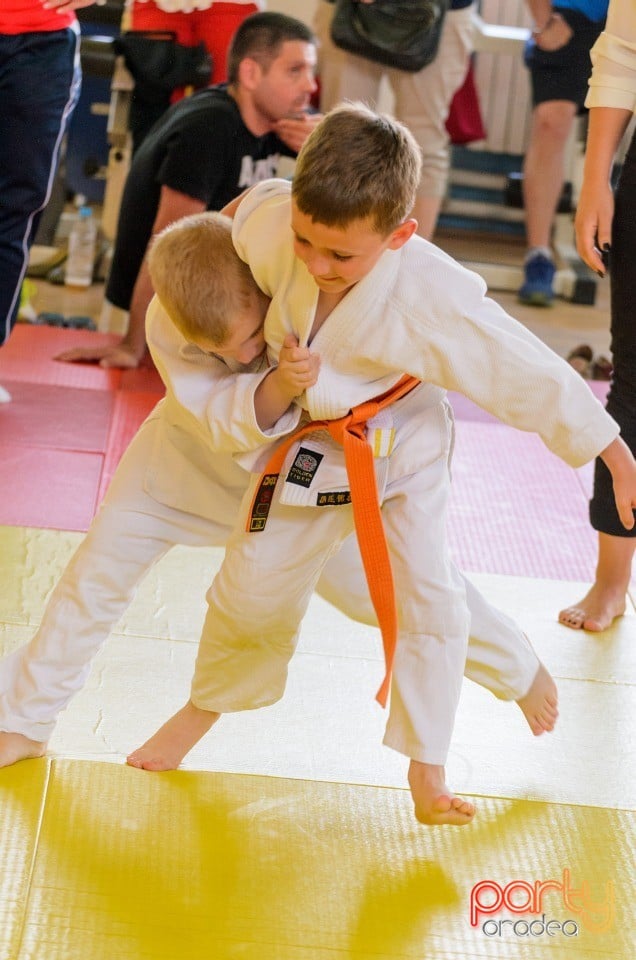 Micii judoka la Examen de Mon, Liceul cu Program Sportiv