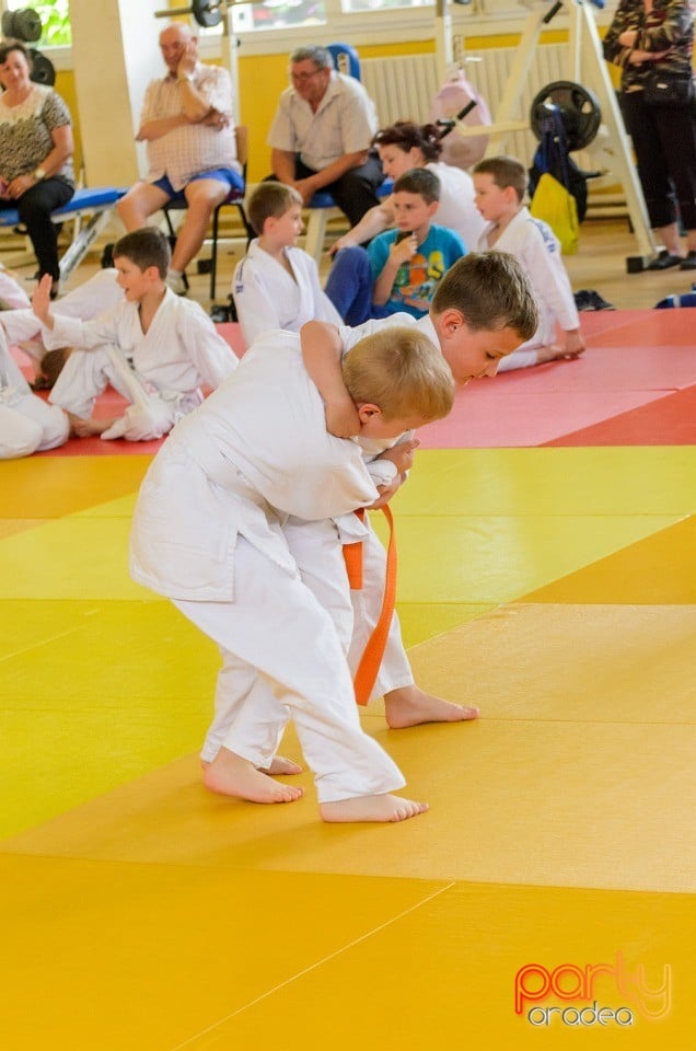 Micii judoka la Examen de Mon, Liceul cu Program Sportiv