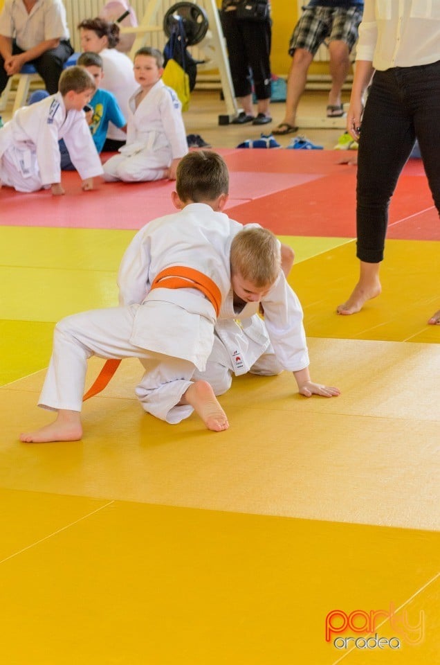 Micii judoka la Examen de Mon, Liceul cu Program Sportiv