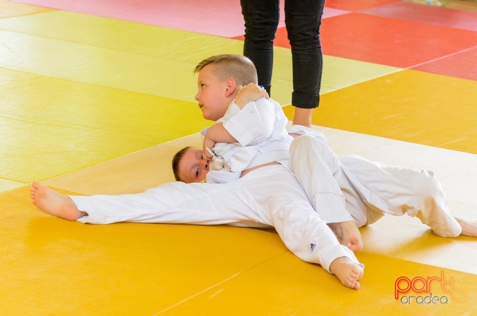 Micii judoka la Examen de Mon, Liceul cu Program Sportiv