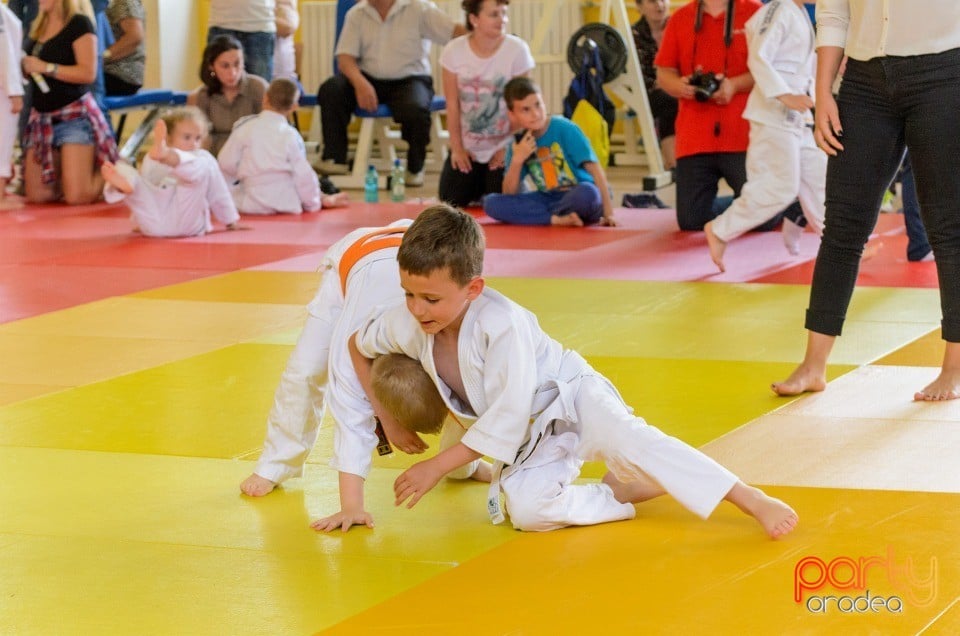 Micii judoka la Examen de Mon, Liceul cu Program Sportiv