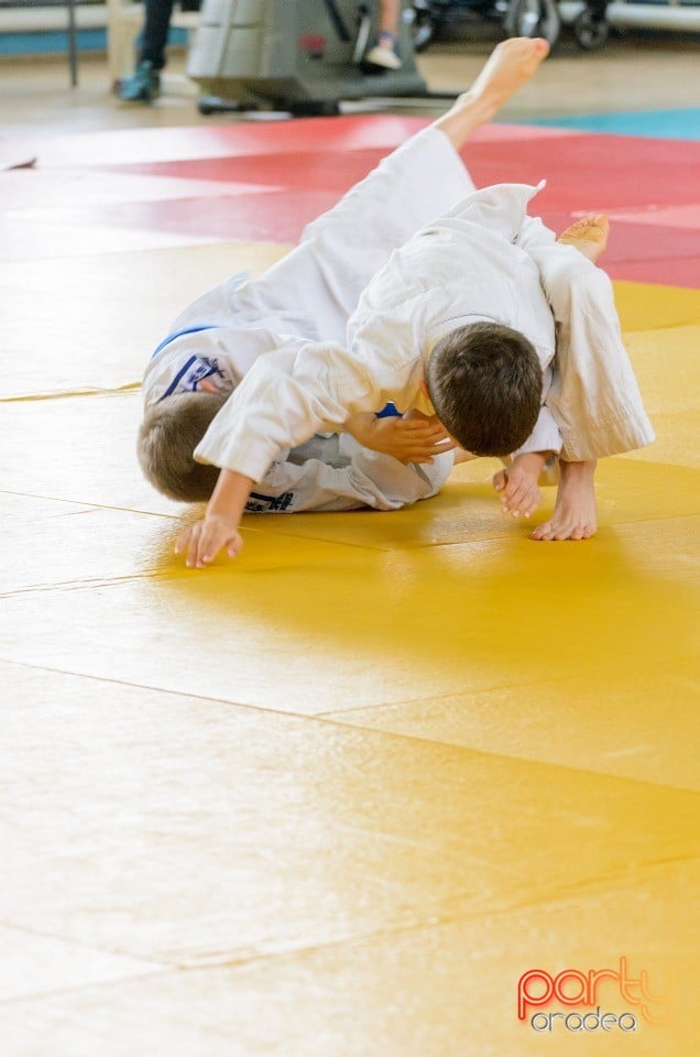 Micii judoka la Examen de Mon, Liceul cu Program Sportiv