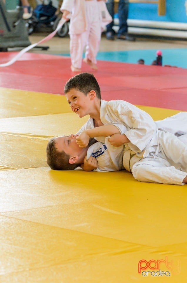 Micii judoka la Examen de Mon, Liceul cu Program Sportiv