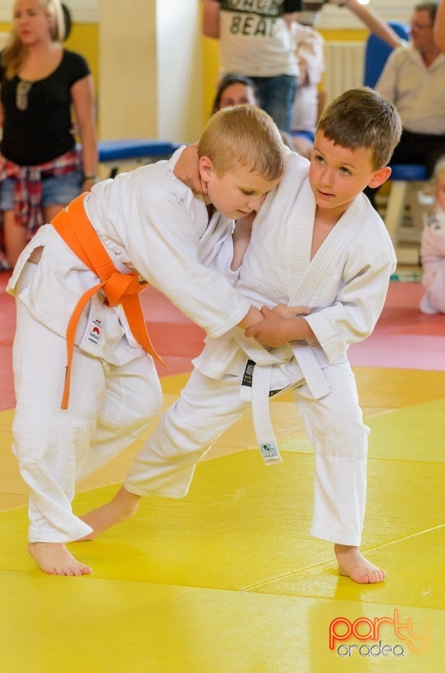 Micii judoka la Examen de Mon, Liceul cu Program Sportiv