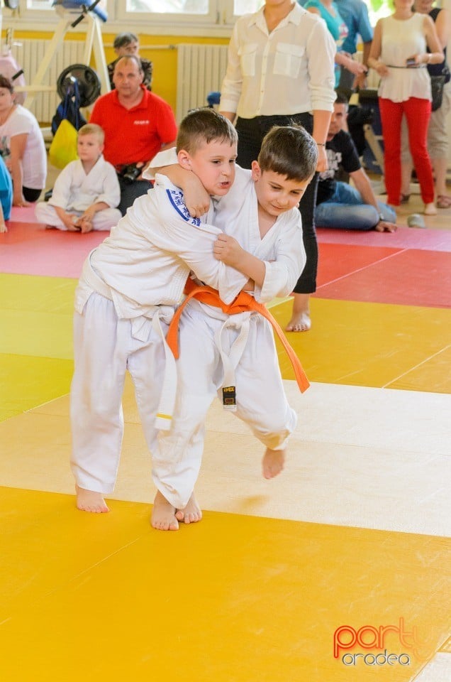 Micii judoka la Examen de Mon, Liceul cu Program Sportiv