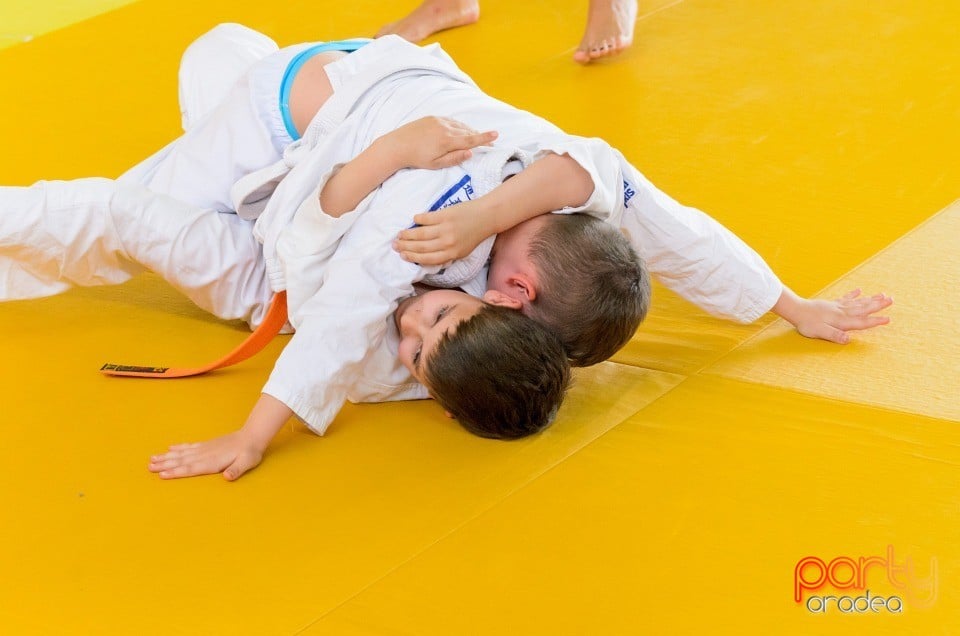 Micii judoka la Examen de Mon, Liceul cu Program Sportiv