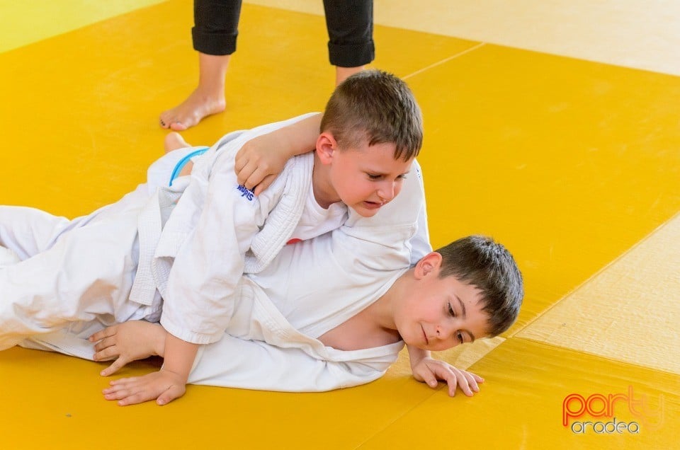 Micii judoka la Examen de Mon, Liceul cu Program Sportiv