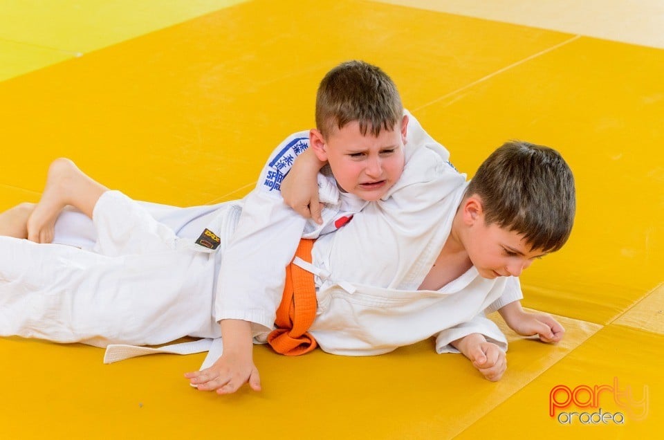 Micii judoka la Examen de Mon, Liceul cu Program Sportiv