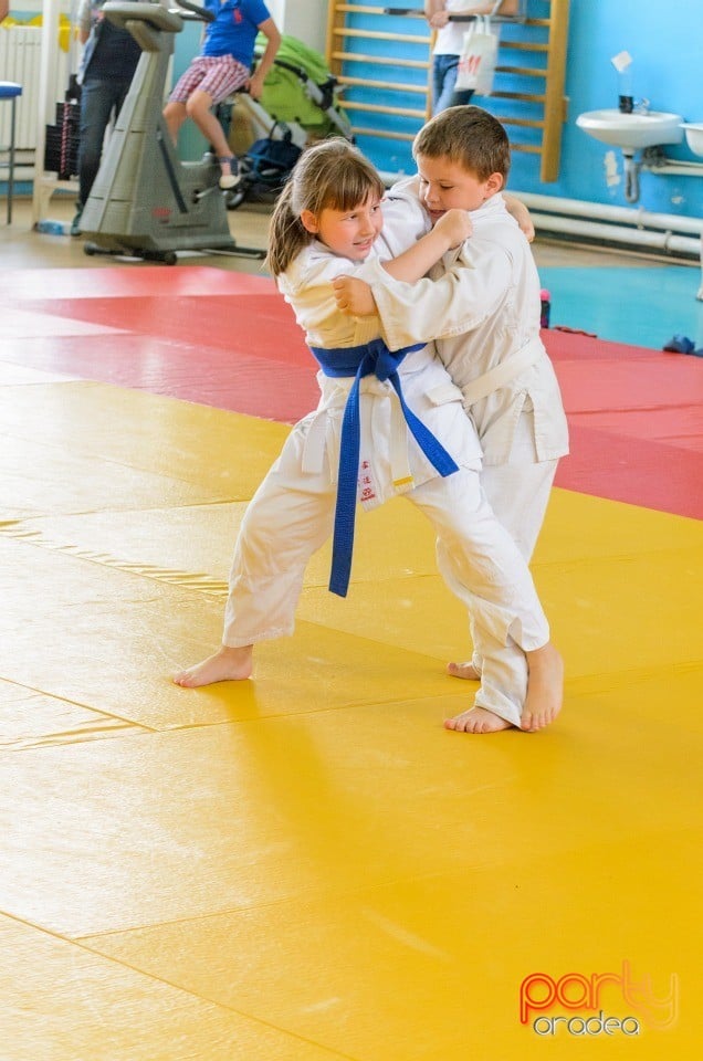 Micii judoka la Examen de Mon, Liceul cu Program Sportiv