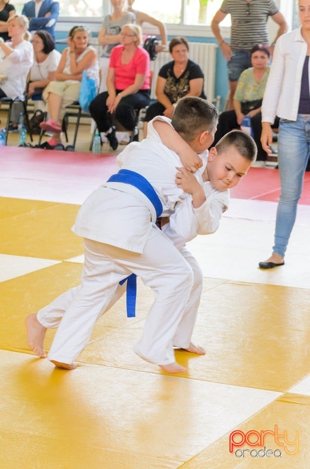 Micii judoka la Examen de Mon, Liceul cu Program Sportiv