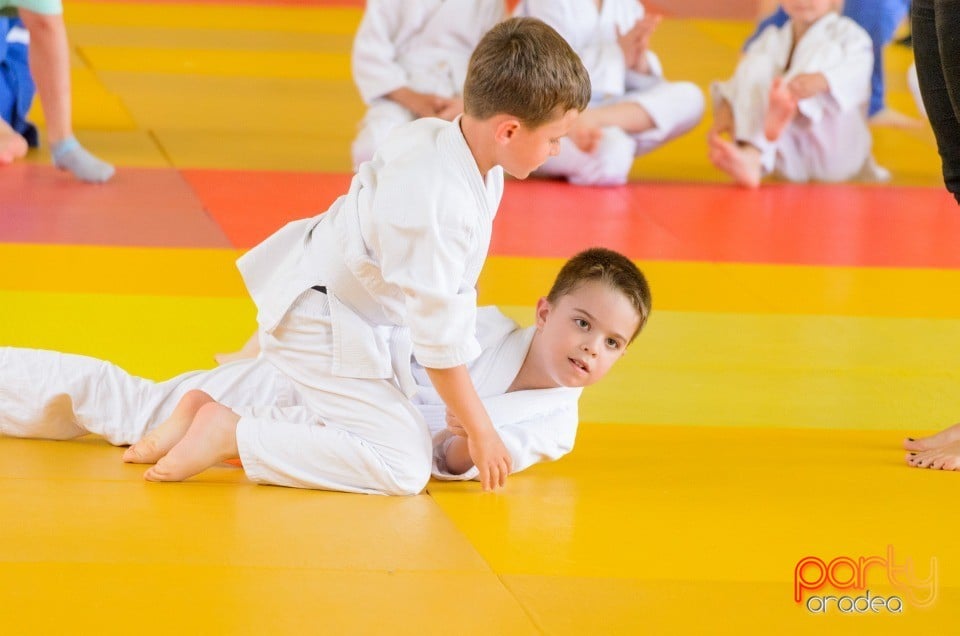 Micii judoka la Examen de Mon, Liceul cu Program Sportiv