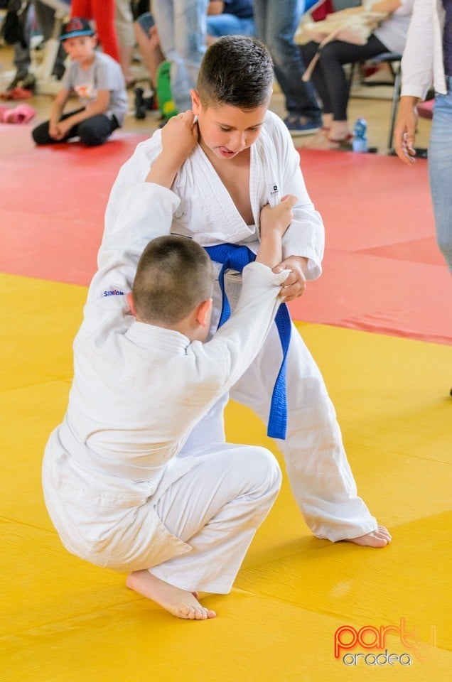 Micii judoka la Examen de Mon, Liceul cu Program Sportiv