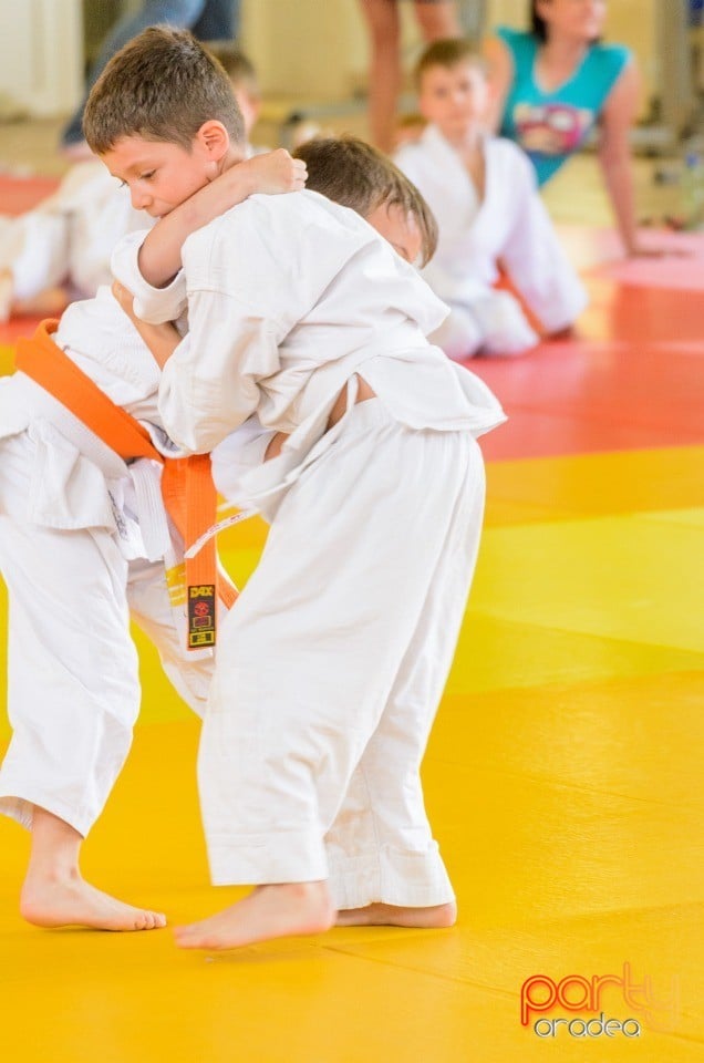 Micii judoka la Examen de Mon, Liceul cu Program Sportiv