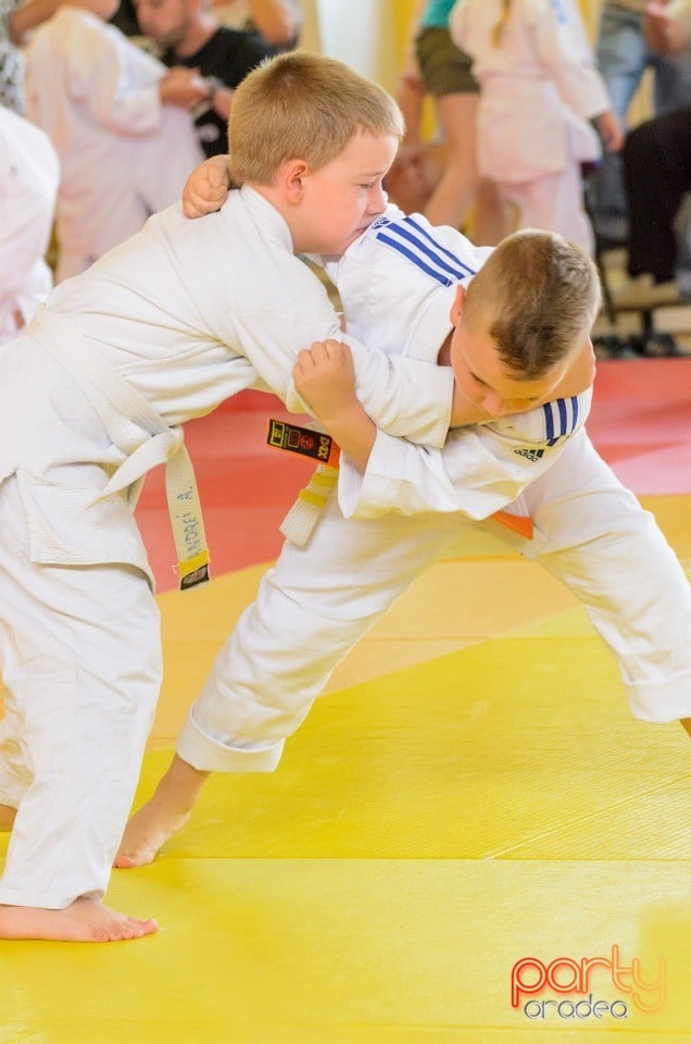 Micii judoka la Examen de Mon, Liceul cu Program Sportiv