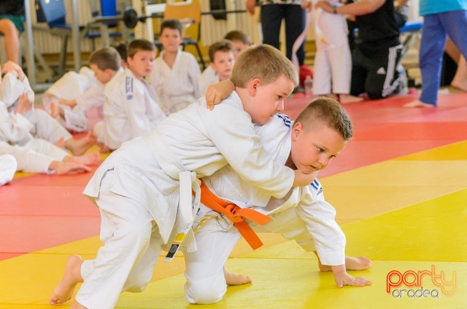 Micii judoka la Examen de Mon, Liceul cu Program Sportiv