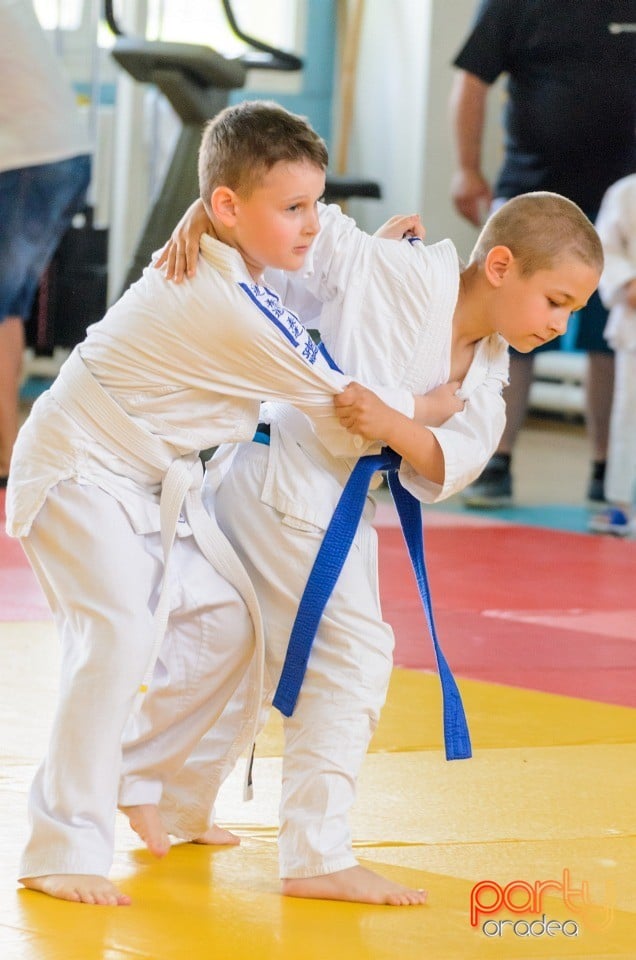 Micii judoka la Examen de Mon, Liceul cu Program Sportiv