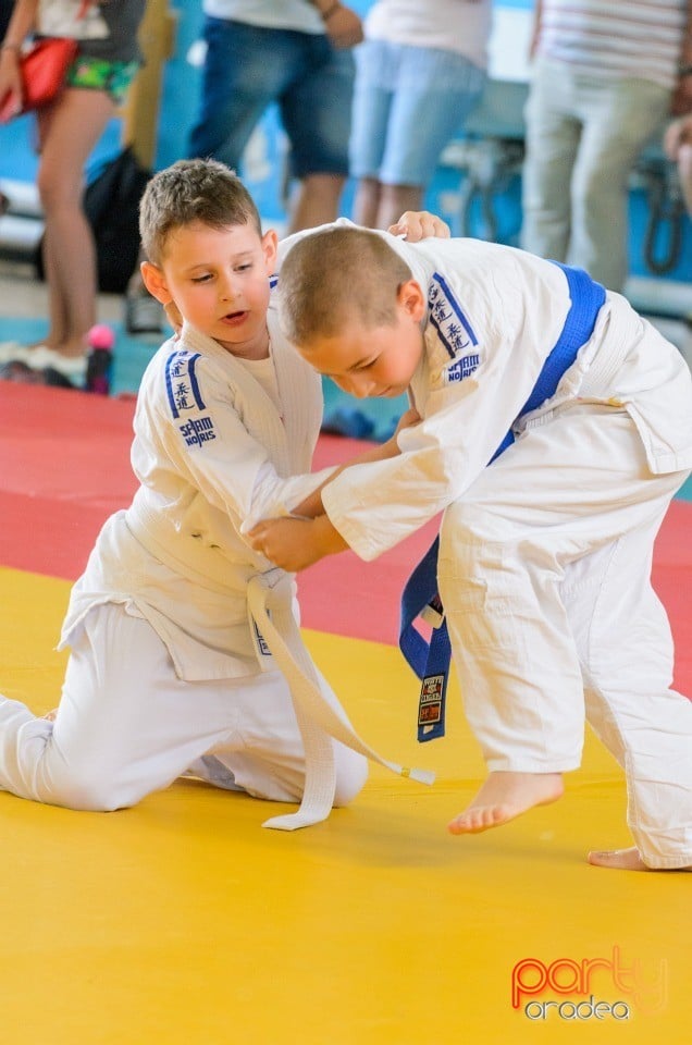 Micii judoka la Examen de Mon, Liceul cu Program Sportiv