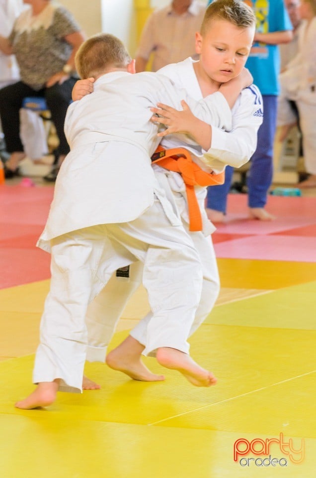 Micii judoka la Examen de Mon, Liceul cu Program Sportiv