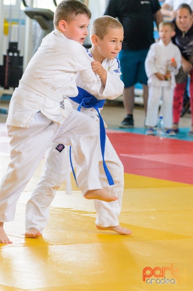 Micii judoka la Examen de Mon, Liceul cu Program Sportiv