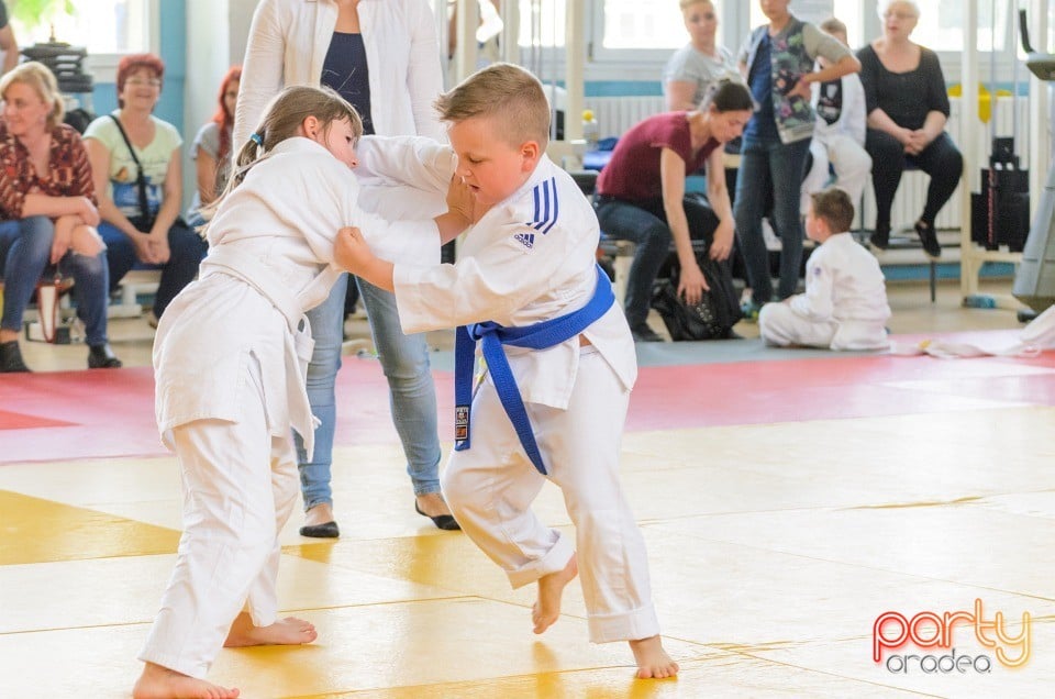 Micii judoka la Examen de Mon, Liceul cu Program Sportiv
