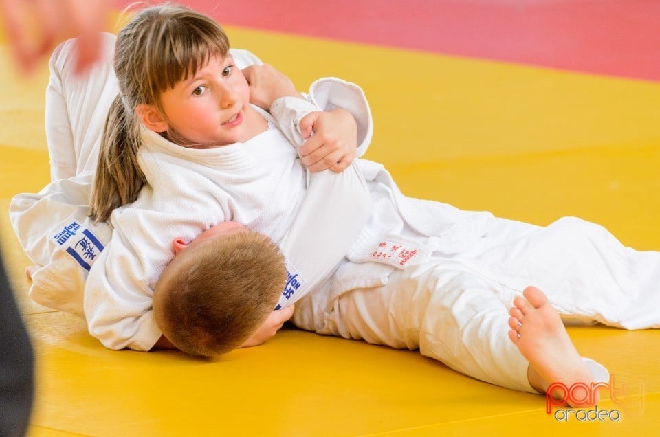 Micii judoka la Examen de Mon, Liceul cu Program Sportiv