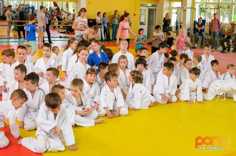 Micii judoka la Examen de Mon, Liceul cu Program Sportiv