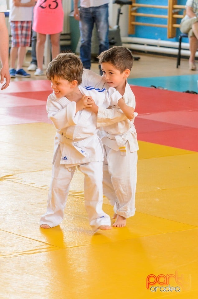 Micii judoka la Examen de Mon, Liceul cu Program Sportiv