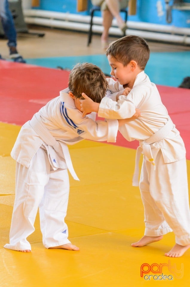 Micii judoka la Examen de Mon, Liceul cu Program Sportiv