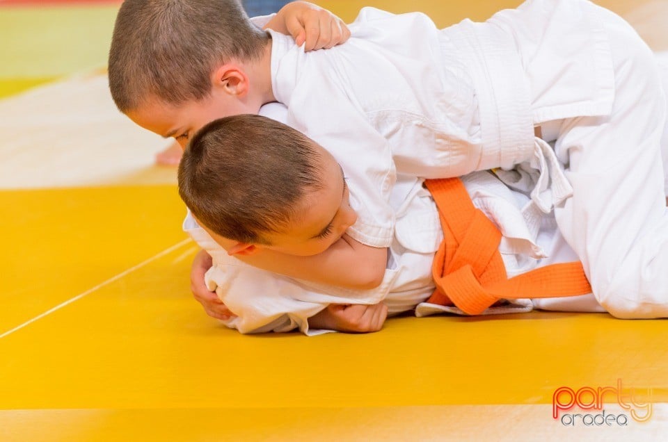 Micii judoka la Examen de Mon, Liceul cu Program Sportiv