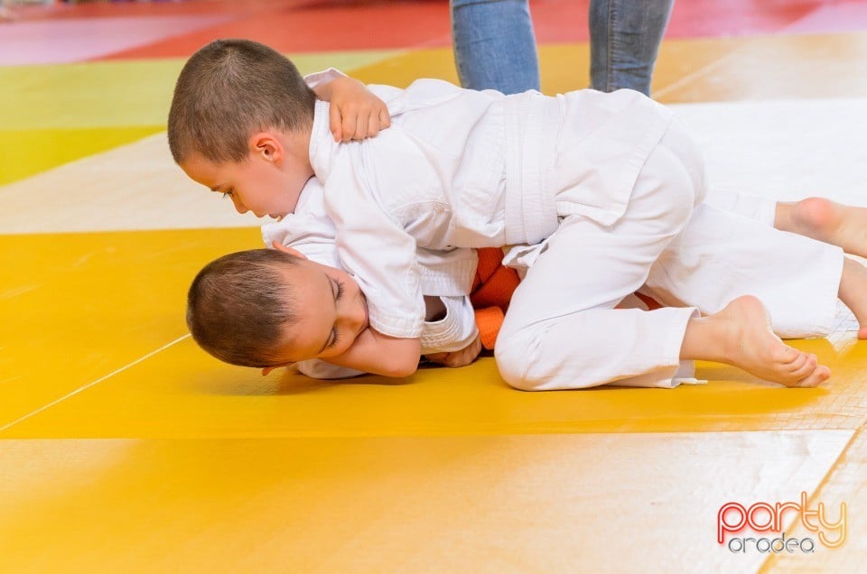 Micii judoka la Examen de Mon, Liceul cu Program Sportiv