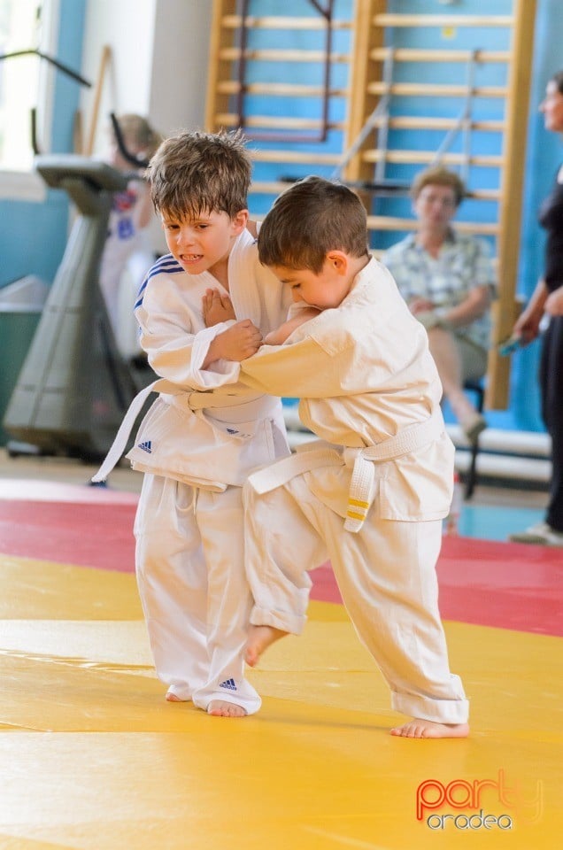 Micii judoka la Examen de Mon, Liceul cu Program Sportiv