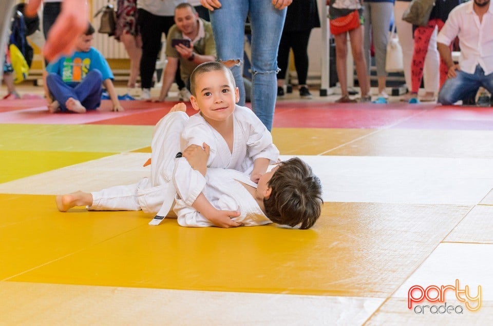 Micii judoka la Examen de Mon, Liceul cu Program Sportiv